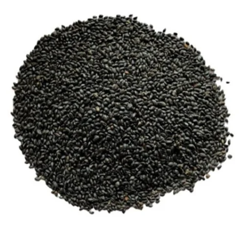 Tokma dana basil seeds