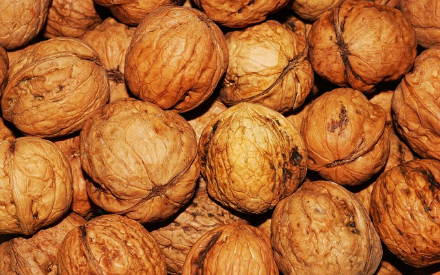 Walnut akhrot